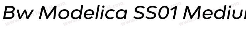 Bw Modelica SS01 Medium Expanded字体转换